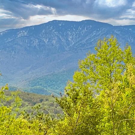 Amazing Views Villa Gatlinburg Room photo